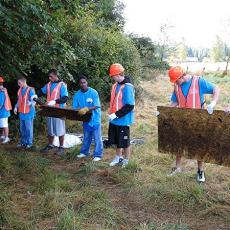 tn_2066_line_of_workers_removes_debris